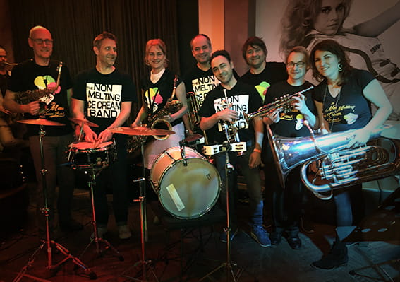 Hoofdfoto van The Non Melting Ice Cream Band