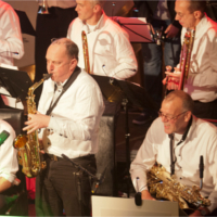 Foto 10 van Fellows Bigband