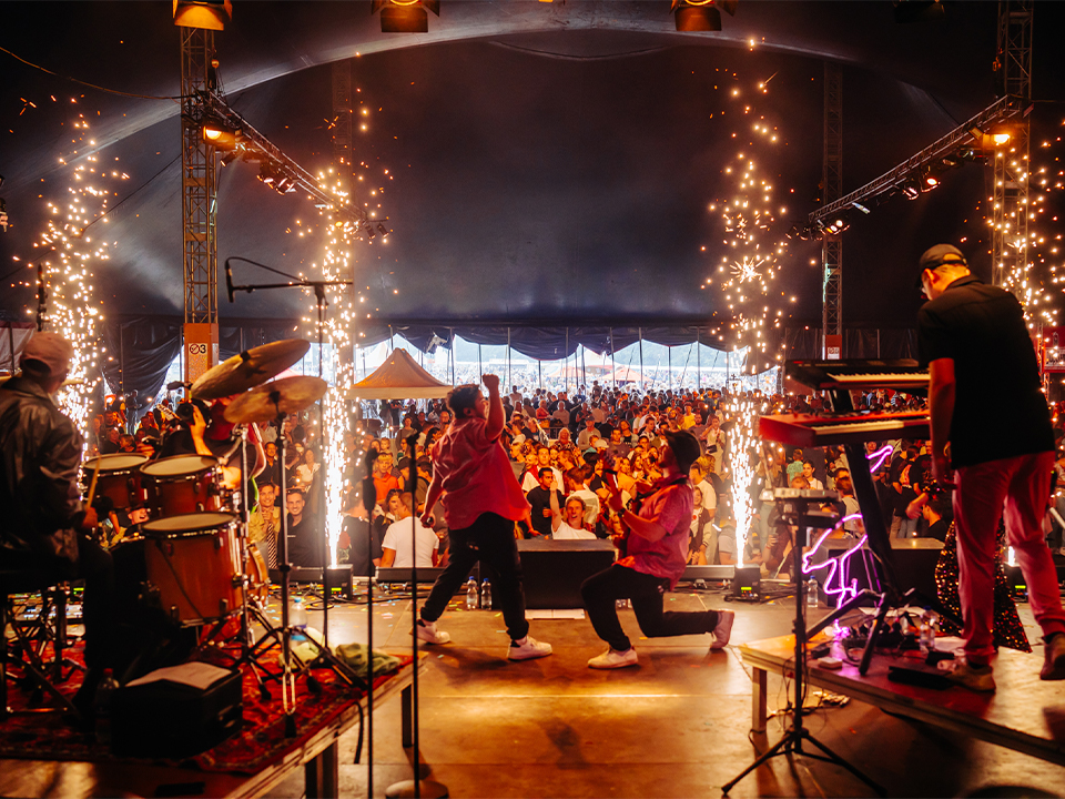 Foto 3 van First Class Flamingos