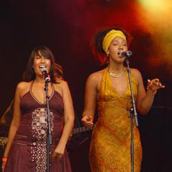 Foto 5 van Orange Grove
